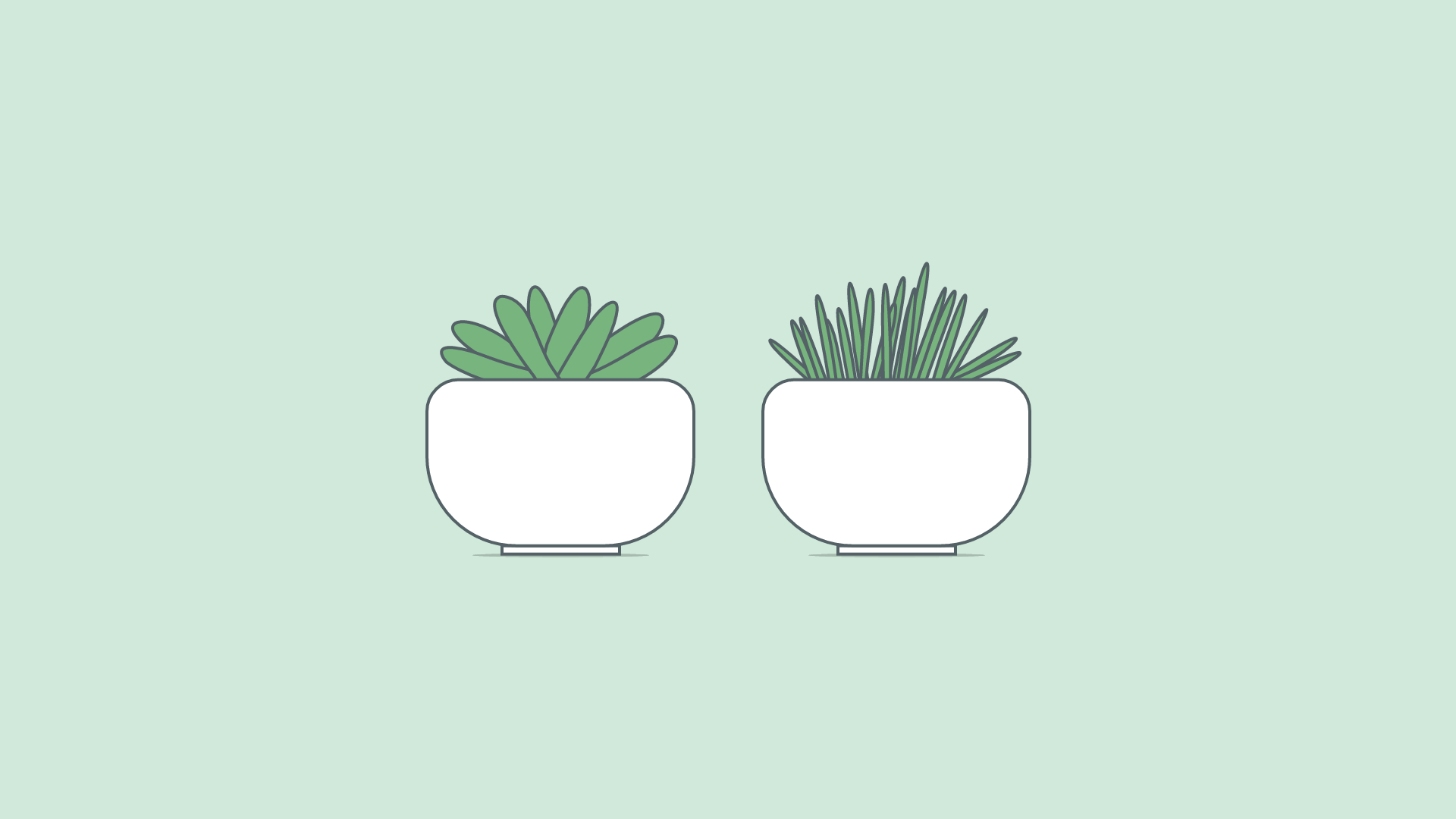 Plants (Illustration)